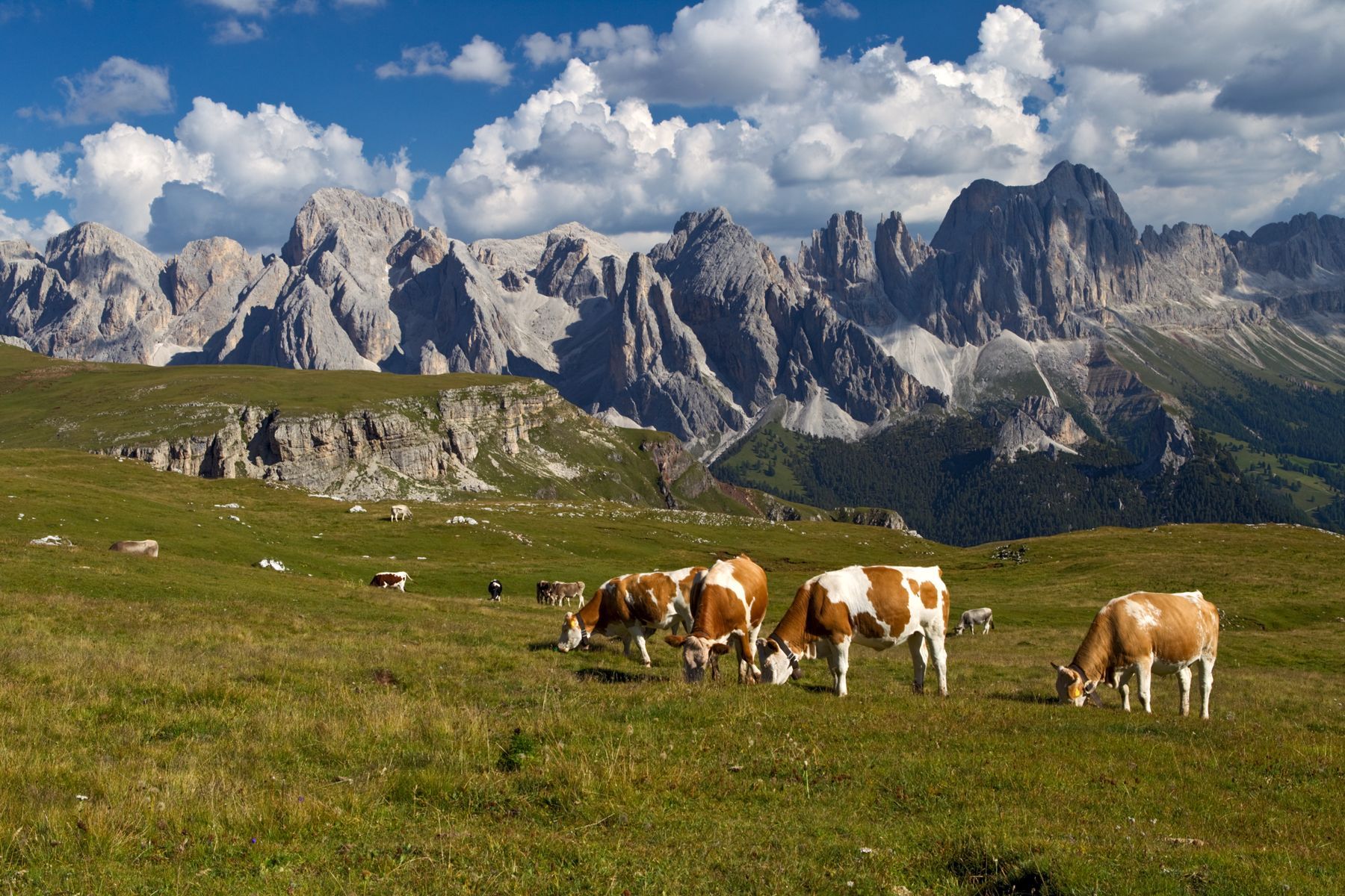 Le malghe