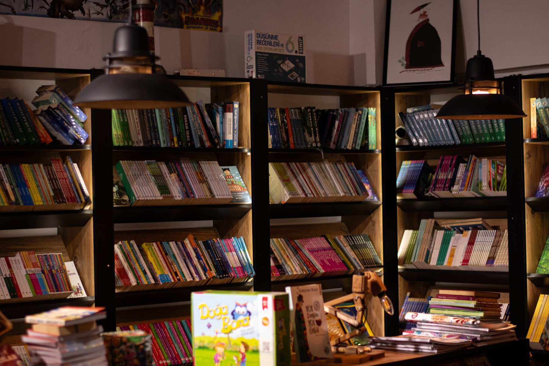 Gli scaffali della libreria
