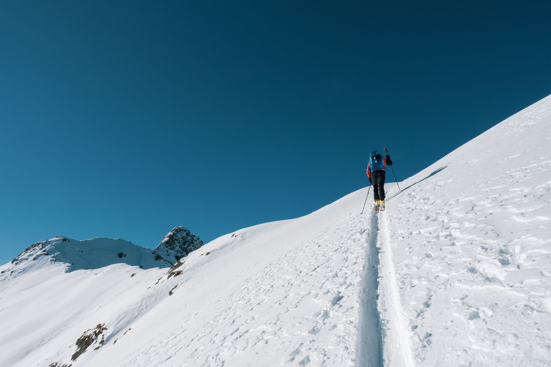 Sci alpinismo