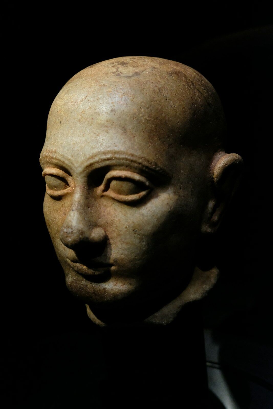 Testa di sacerdote