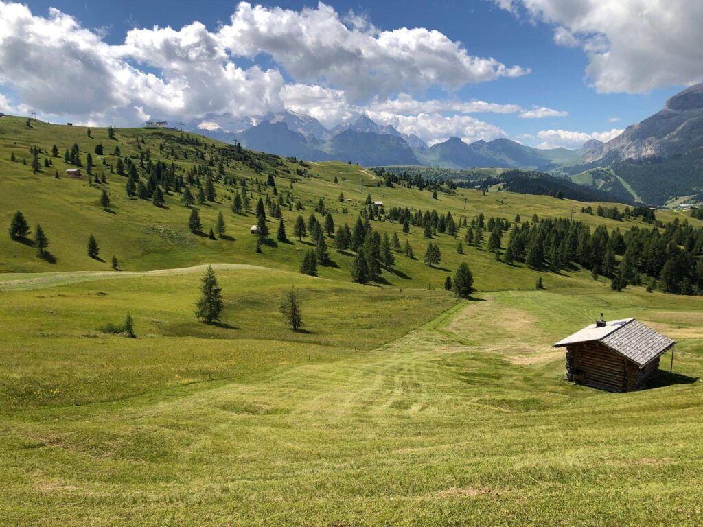 Pascoli e larici intorno a un fienile, con le Dolomiti in lontananza